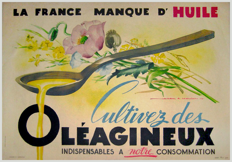 Oleagineux oil poster with a spoonful of oil and flowers