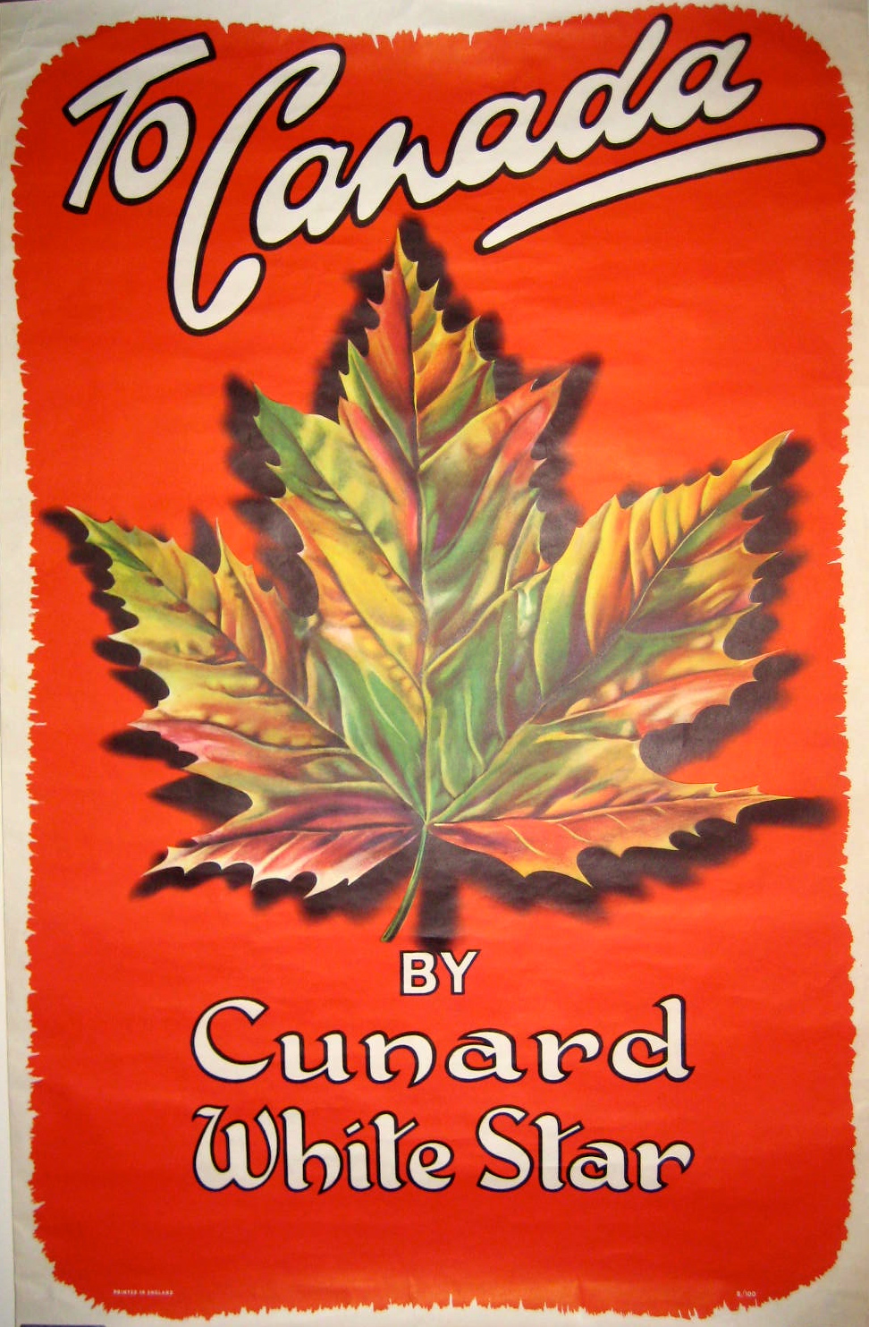 A maple leaf
