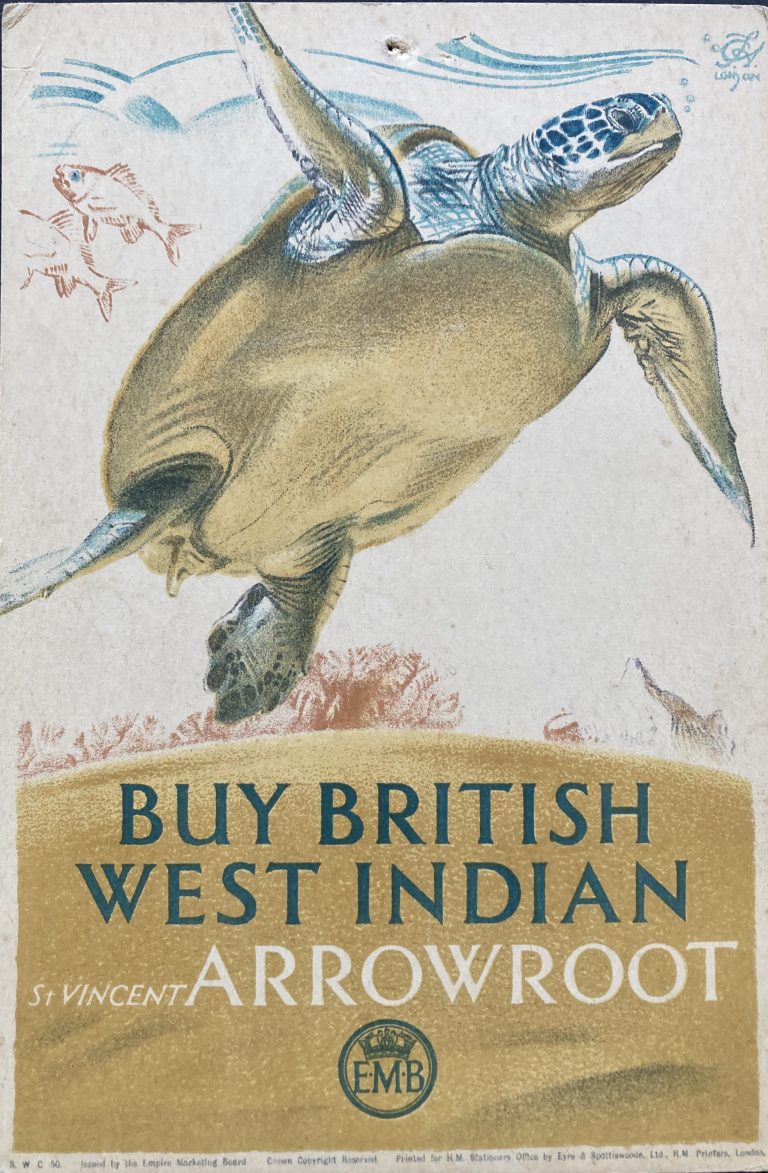 Buy British West Indian St. Vincent Arrowroot