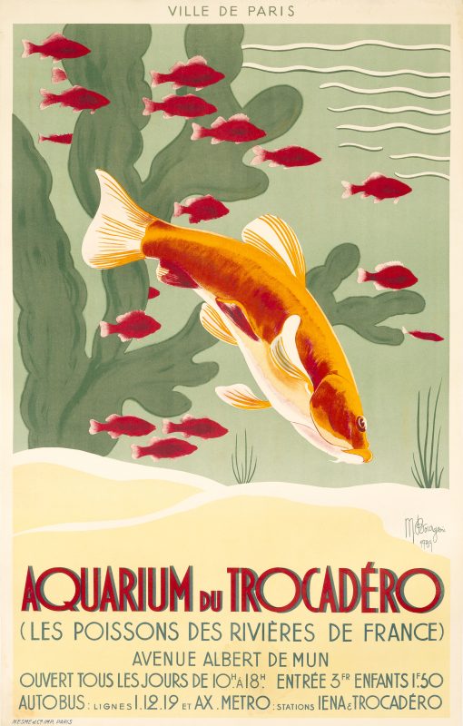 Aquarium du trocadéro