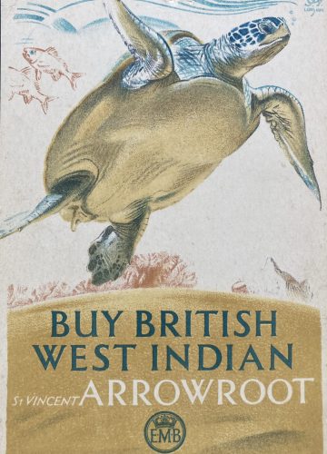 Buy British West Indian St. Vincent Arrowroot